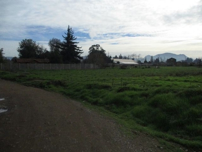 Terreno Constructora Venta Santiago Colina (Chicureo)