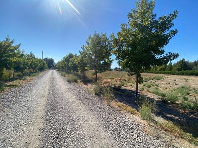 Nancagua, Terreno en Loteo Residencial