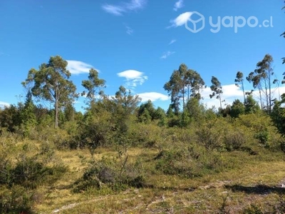 Terreno en sector cordillera vieja, los muer