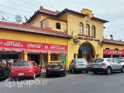 Local Comercial Mercado Centenario local interior