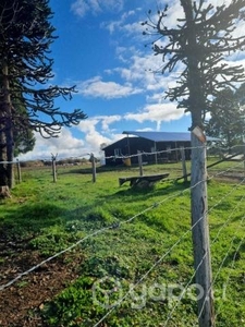 Parcela A-121 refugio belbén Ancud 5000mt2