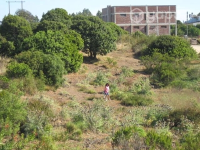 Sitio Lomas de Mantagua Valparaíso