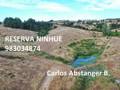 Parcela en Venta en Ninhue Ninhue, Ñuble