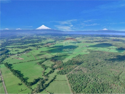 Terreno Venta Puerto Octay, Osorno, Los Lagos