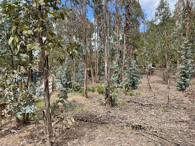 Gran Terreno en Tranquilo Condominio Cerro Tacna, Maitencillo