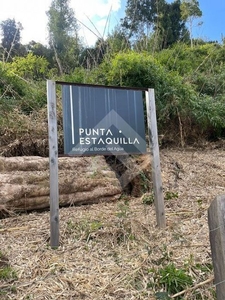 Venta Parcela Los muermos punta estaquilla