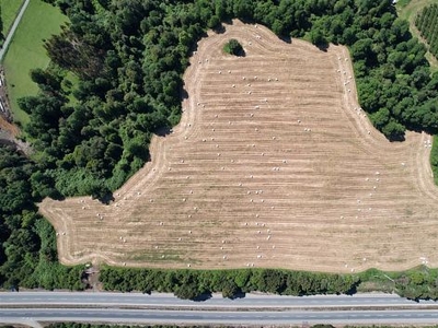 Venta Terreno construccion Paillaco Parcelación Agricola Los Cerezos, Terrenos de 5.000 m2, Aprobados por SAG, Paillaco, Valdivia