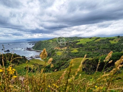 Paraíso en Estaquilla