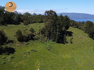 Venta agrícola puyehue cruce pulelfu camino el encanto km 73 puyehue