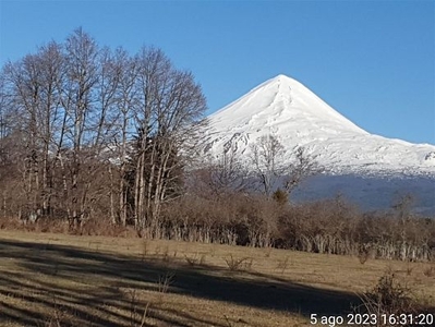 Venta Parcela Curacautín camino conguillio laguna negra curacautin