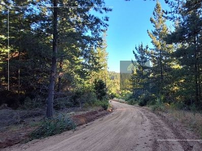 Venta Parcela Litueche 1km del cementerio el manzano