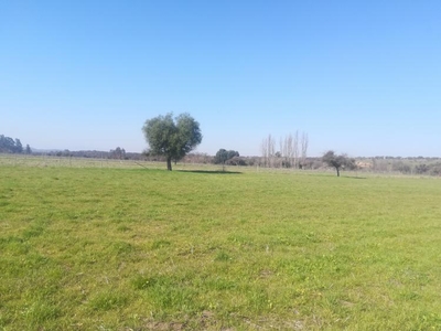 Terreno en Venta en marchihue litueche, Cardenal Caro