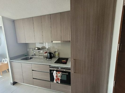 Arriendo departamento ñuñoa holanda 3800