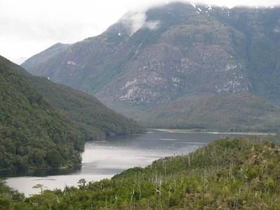 Campo 150 há caleta tortel región aysén