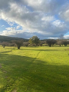 Rodeada de la naturaleza y tranquilidad hermosa parcela