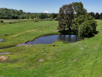 Venta Parcela Osorno felizardo asenjo, osorno, los lagos