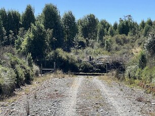 Venta de parcelas de 1 ht en chiloé