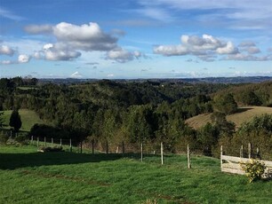 Venta Parcela Puerto varas camino el pato llico