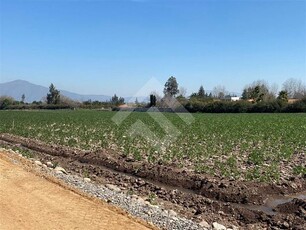 Venta Parcela Talagante el oliveto