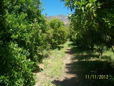 Agricola en Venta en CERRILLOS Catemu, San Felipe de Aconcagua