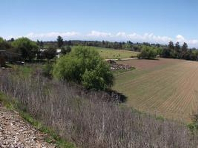 Agricola en Venta en San Rafael, Talca