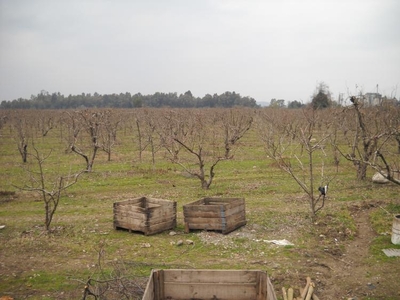 Terreno en Venta en El Molino Rengo, Cachapoal