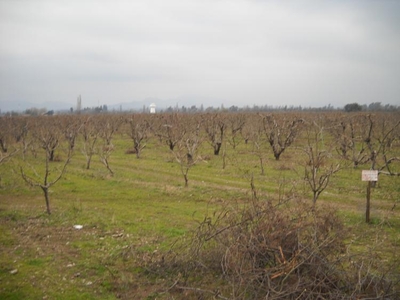 Terreno en Venta en El Molino Rengo, Cachapoal