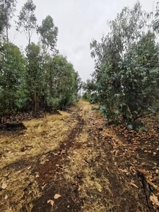 Terreno en Venta en Sector Rinconada, Santa Barbara Santa Bárbara, Biobio