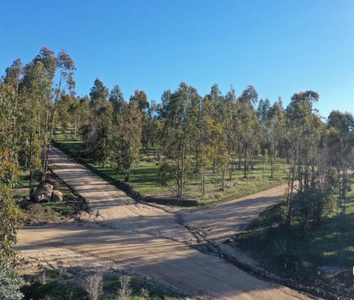 Terreno en Venta en Topocalma Litueche, Cardenal Caro