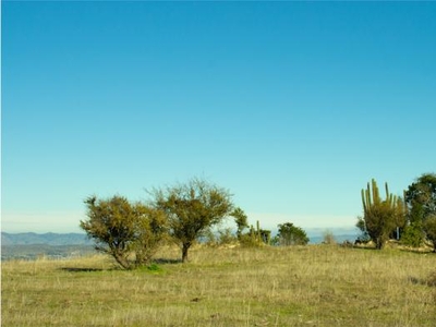 Terreno en Venta en VI Región Marchihue, Cardenal Caro