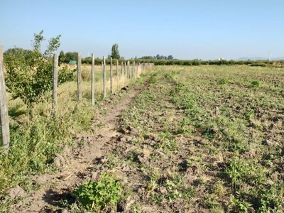 Parcela en Venta en Santa Cruz, Colchagua