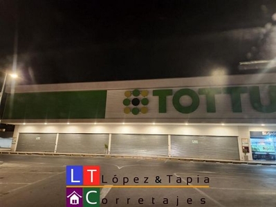 Locales Comerciales Supermercado Tottus Vallenar
