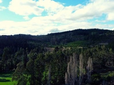 Parcela 5000m2 - playa boyeruca y pichilemu