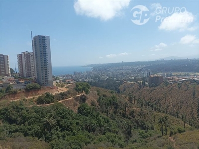 Viña del mar, altos de viña, viña del mar (cvd,46.380)