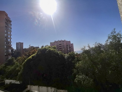 Viña del mar, avenida jardín del mar