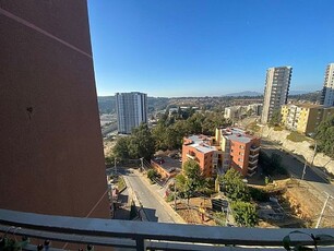 Arriendo departamento viña del mar viña del mar