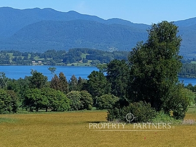 Terrenos con gran vista al lago Panguipulli