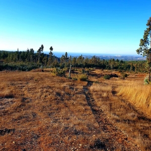 Parcela en Venta en Litueche, Cardenal Caro