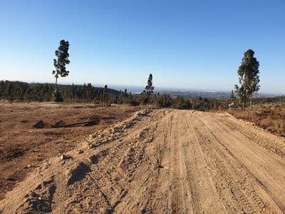 Parcela en Venta en Litueche, Cardenal Caro