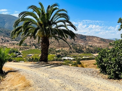 Propiedad Agricola en Venta en Quillota 4 dormitorios 3 baños / Vivax Propiedades