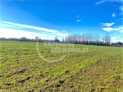 Propiedad Agricola en Venta en Parral / Schumacher Propiedades