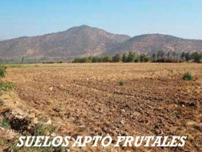 Agricola en Venta en Rancagua, Cachapoal