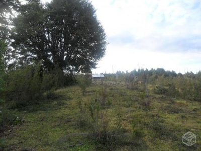 Terreno en Venta en rural Los Muermos, Llanquihue