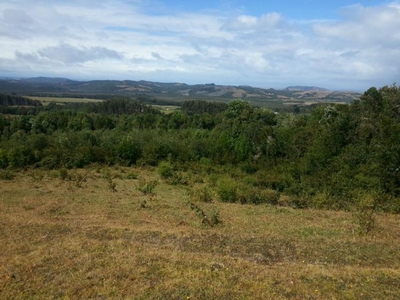 Terreno en Venta en Rural Los Muermos, Llanquihue