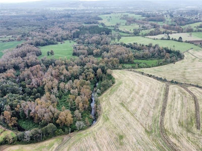 Propiedad Agricola en Venta en Los Lagos / Chile Sotheby's International Realty