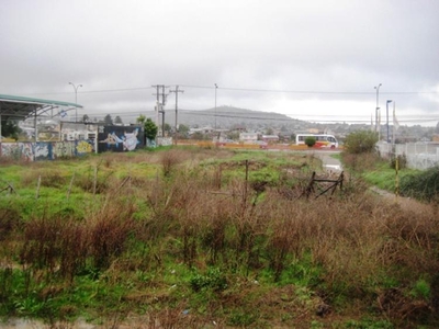 Industrial en Arriendo en Viña del Mar, Valparaiso