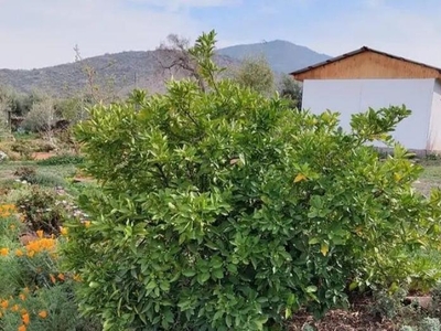 Parcela en Venta en Rural Santa María, San Felipe de Aconcagua