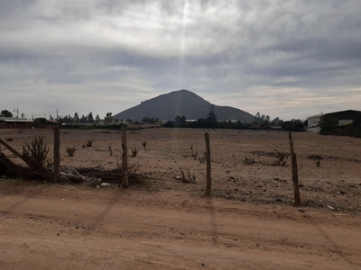 Sitio o Terreno en Arriendo en Coquimbo / Alaluf